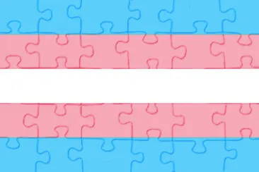 Transgender Flag