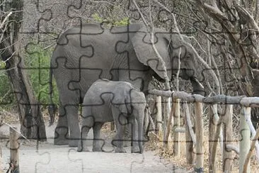 Un face à face jigsaw puzzle