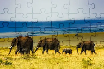 Toy jigsaw puzzle