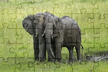 Toy jigsaw puzzle