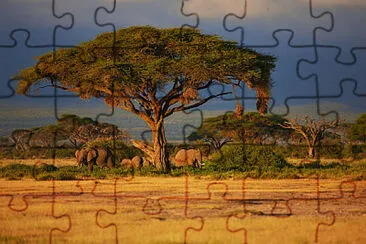 Toy jigsaw puzzle