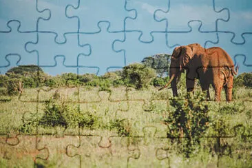 Toy jigsaw puzzle