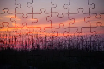 Toy jigsaw puzzle