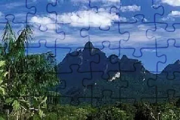 Toy jigsaw puzzle