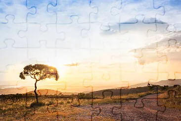 Toy jigsaw puzzle