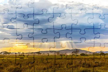 Toy jigsaw puzzle