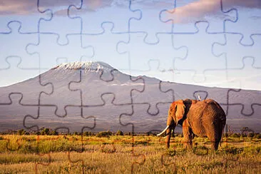 Toy jigsaw puzzle