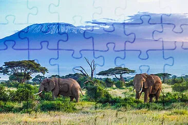 Toy jigsaw puzzle