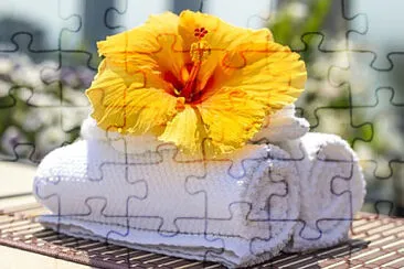 Toy jigsaw puzzle