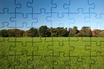 Toy jigsaw puzzle