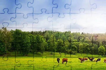 Toy jigsaw puzzle