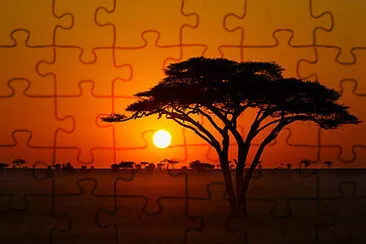 Toy jigsaw puzzle