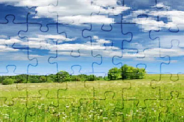 Toy jigsaw puzzle