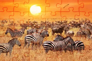 Toy jigsaw puzzle