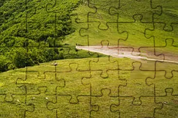 Toy jigsaw puzzle