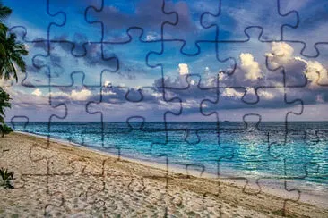 Toy jigsaw puzzle