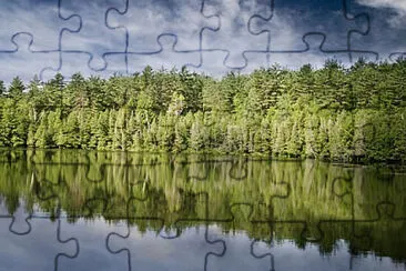 Toy jigsaw puzzle