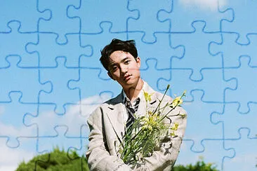 d.o puzzle