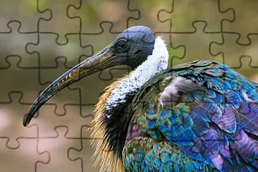 Toy jigsaw puzzle