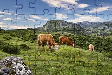 Toy jigsaw puzzle