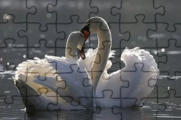 Toy jigsaw puzzle