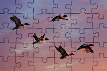 Toy jigsaw puzzle