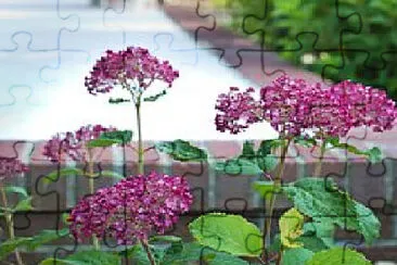 Toy jigsaw puzzle