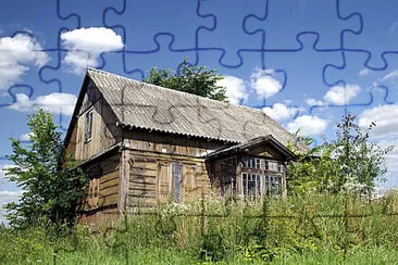 Toy jigsaw puzzle