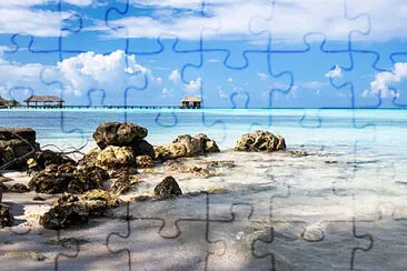 Toy jigsaw puzzle