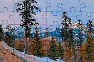 Toy jigsaw puzzle