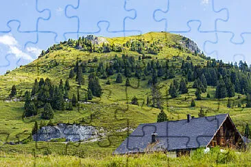 Toy jigsaw puzzle