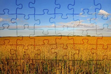 Toy jigsaw puzzle