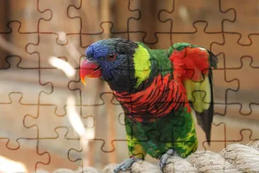 Toy jigsaw puzzle