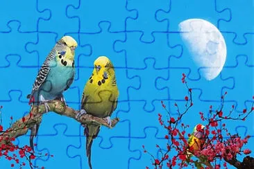 Toy jigsaw puzzle