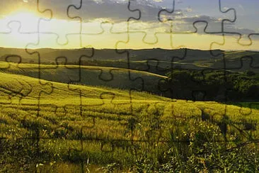 Toy jigsaw puzzle