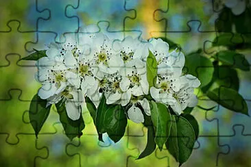 Toy jigsaw puzzle