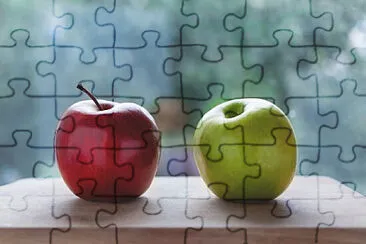 Toy jigsaw puzzle