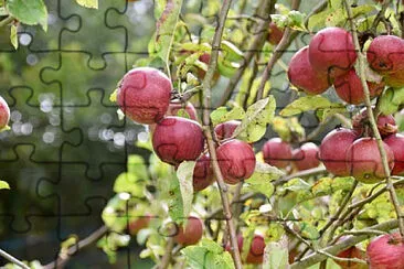 Toy jigsaw puzzle