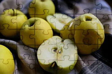 Toy jigsaw puzzle