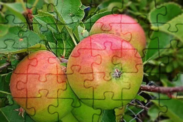 Toy jigsaw puzzle