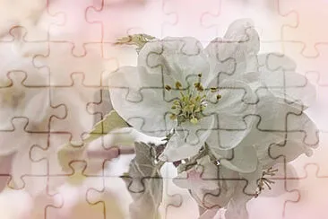 Toy jigsaw puzzle