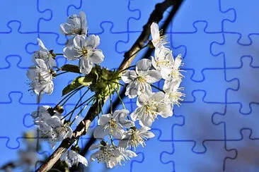 Toy jigsaw puzzle