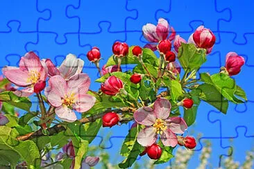 Toy jigsaw puzzle