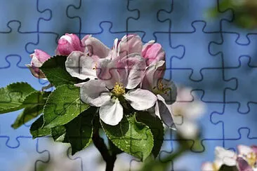 Toy jigsaw puzzle