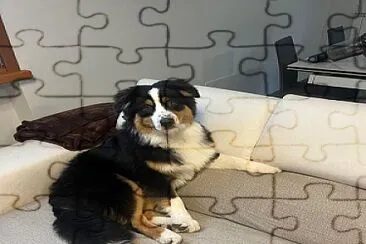 ccddcd jigsaw puzzle