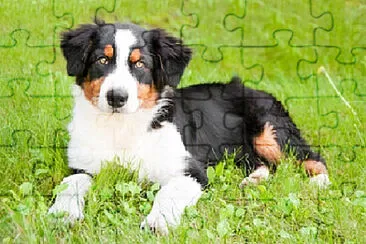 Imagem jigsaw puzzle