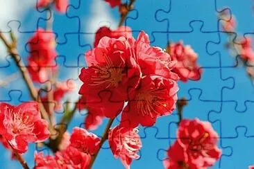 OK jigsaw puzzle