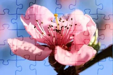 OK jigsaw puzzle