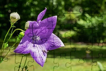 OK jigsaw puzzle