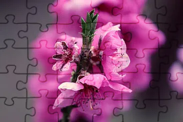 OK jigsaw puzzle